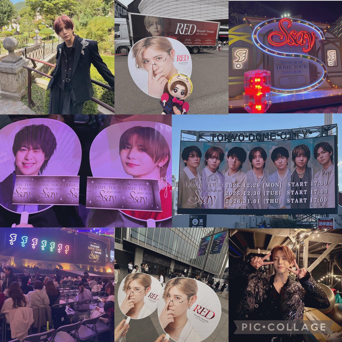ぽま tweet media