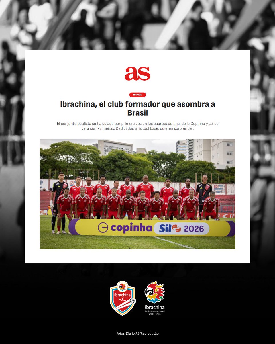 Ibrachina tweet media