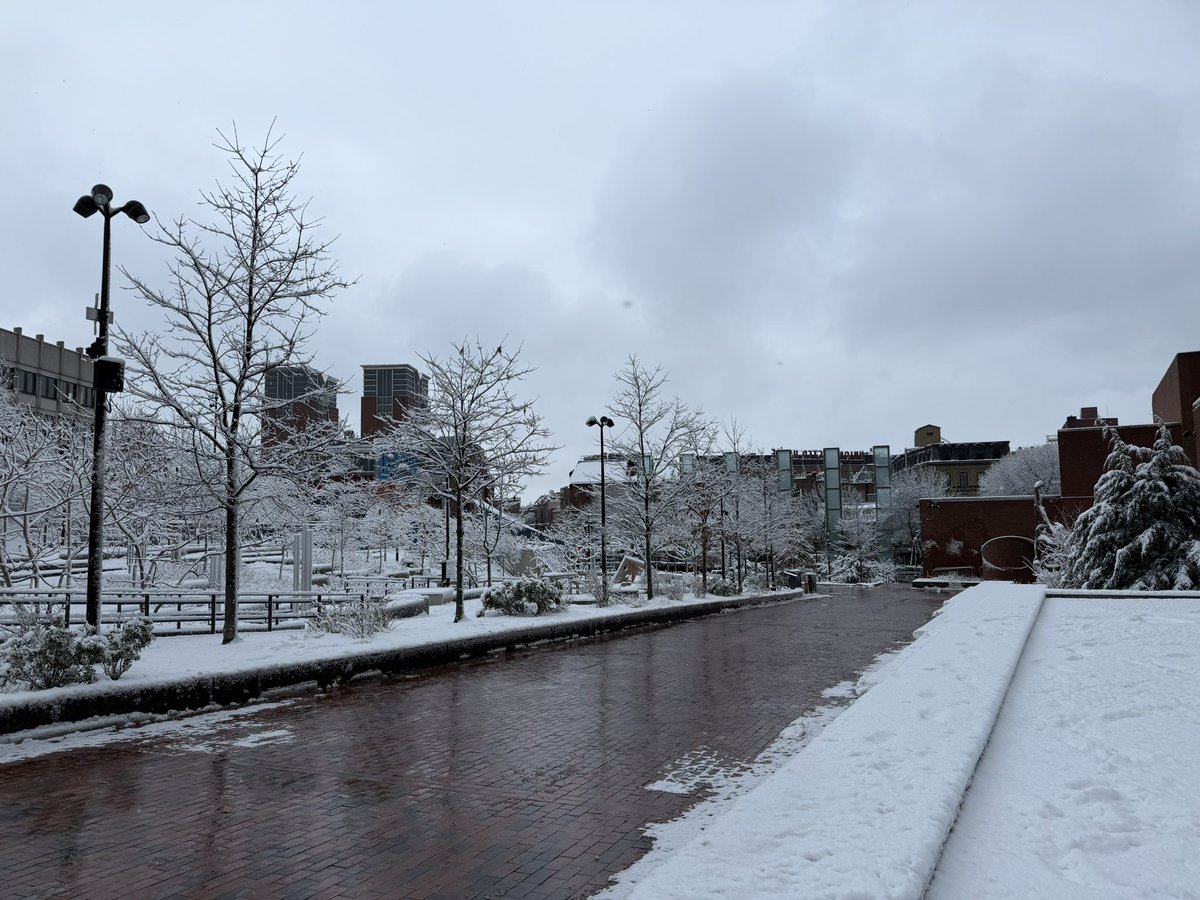 EmGWest01's tweet photo. Boston today https://t.co/BQav4S3Q8v