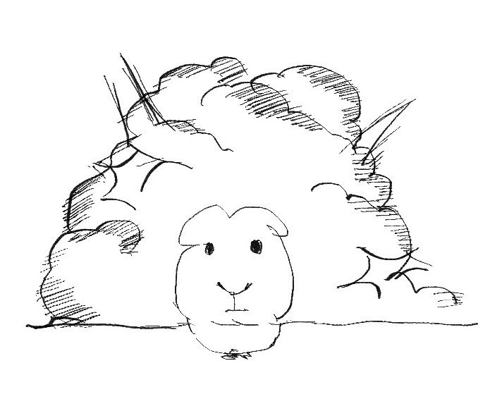 연봉 올려준 거에
손톱 작작 처 깨져라 , 작작 처 울어라 도
잇는 거 맞죠?