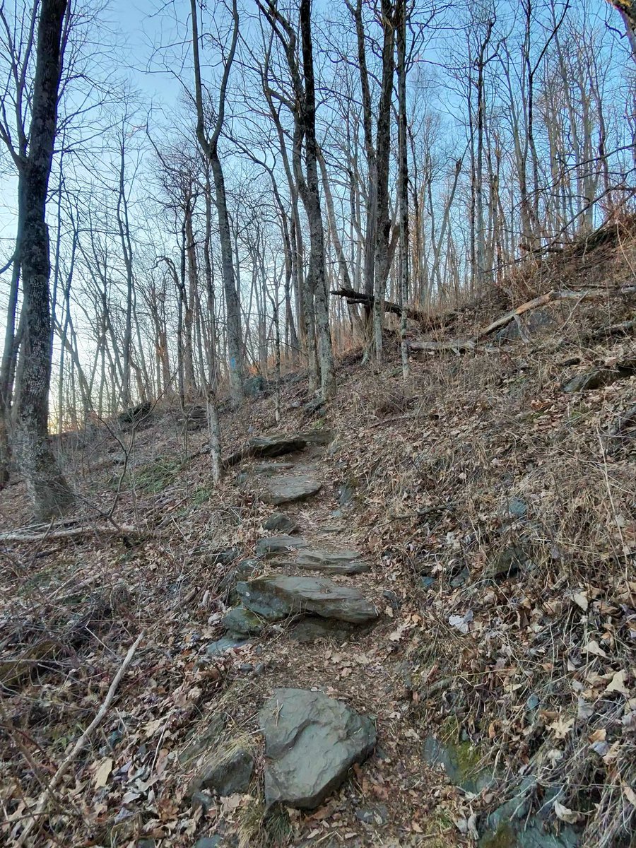 CharlieSLIII's tweet photo. Went for a short hike to the summit of Buffalo Mountain, Meadows Of Dan, Virginia. At the top, elevation of 3,971 feet, it was cold and windy. The view is amazing! https://t.co/W8tR5vKNTp