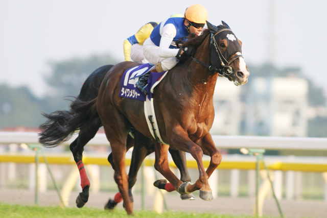 2006年のJRA賞最優秀短距離馬に輝いた #ダイワメジャー が1月20日25歳