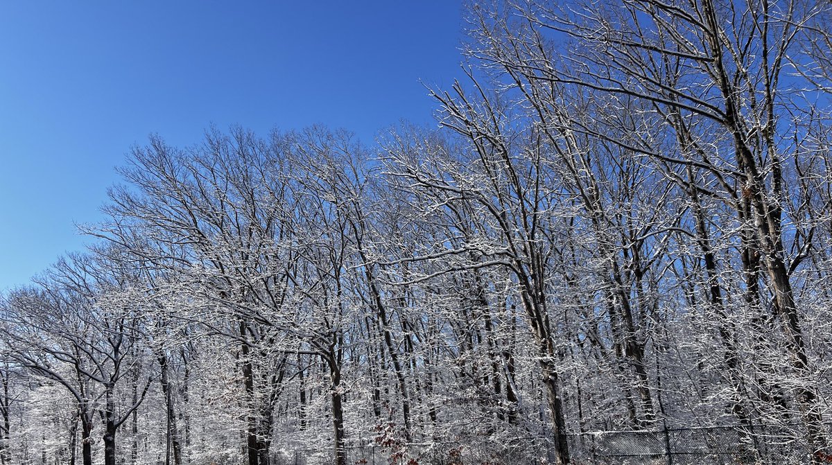 Alok Kumar tweet media