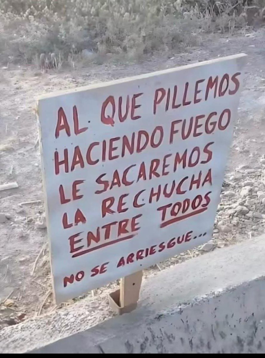 RepisoAndrea's tweet image. 