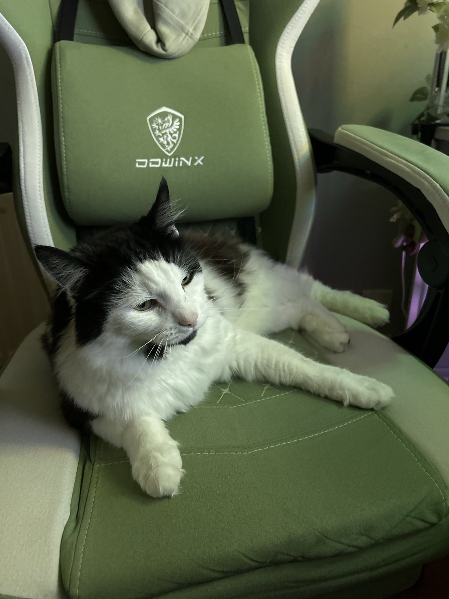 lazys ˚.⁺ tweet media