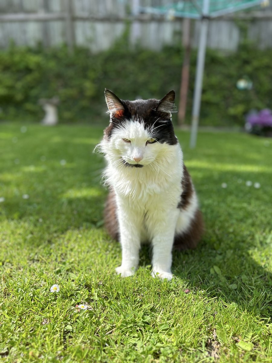 lazys ˚.⁺ tweet media