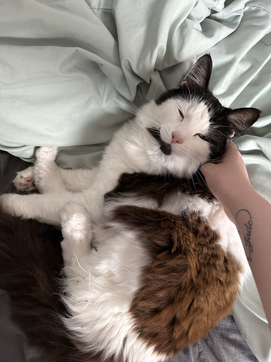 lazys ˚.⁺ tweet media