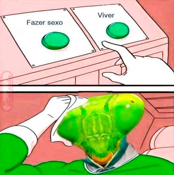 blognaointendo's tweet image. Eterno dilema