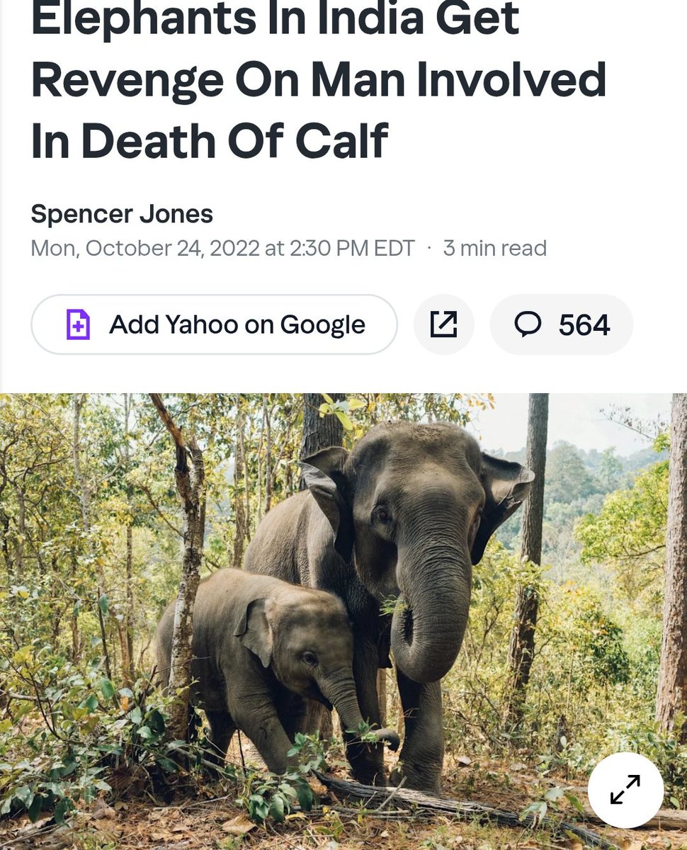 In this case 44 elephants found the man responsible for killing their calf and murdered the absolute shit out of him. If you thought the above video was bad, remember that I'm trying to avoid a ban.