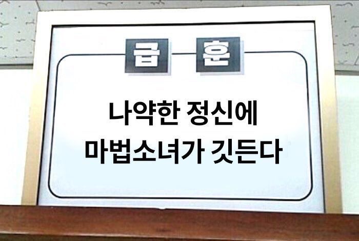 쿄 tweet media