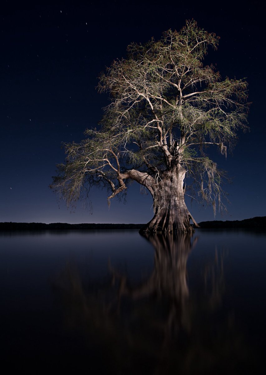 Frank Relle tweet media