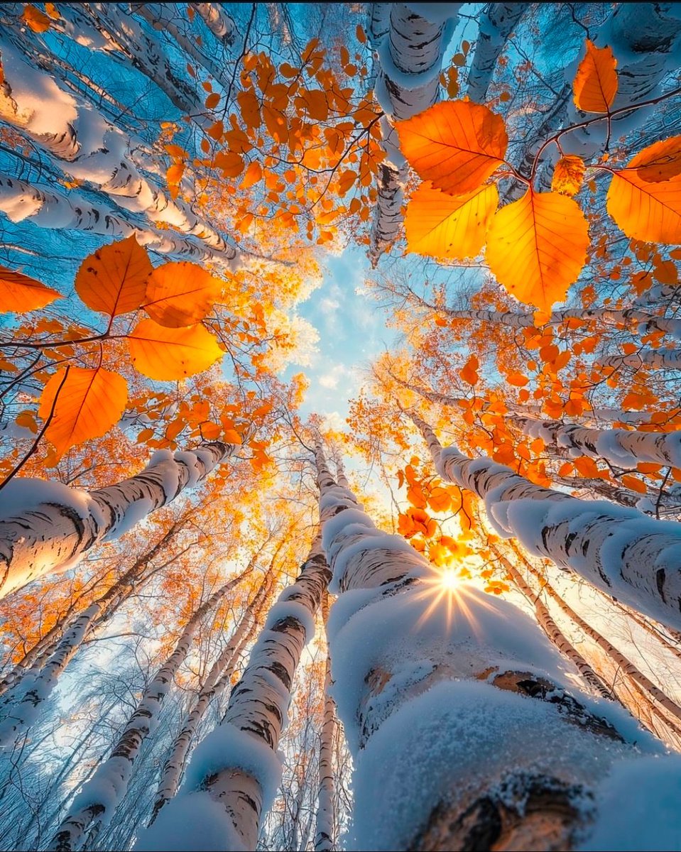 aestheticspost_'s tweet image. 