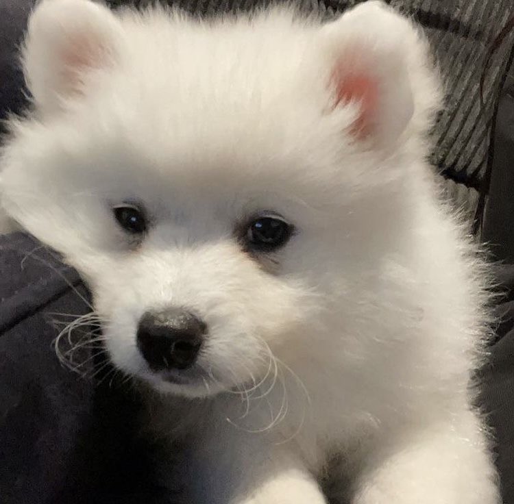 น่ารักอะ ㅠㅠㅠㅠㅠㅠ