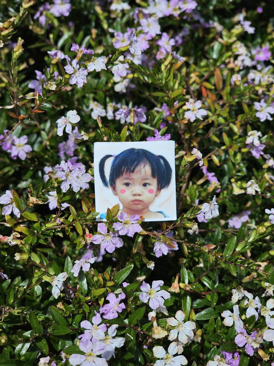 mMkG6qz6EHXLcwC's tweet photo. ☁️~🌱🌹🌱~☁️
 Have a nice day ฮะ🌻
#Marminkmani
#CloudforMars https://t.co/2K4uLr0PHT