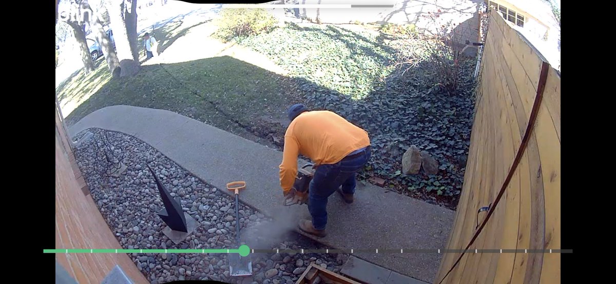 David Taylor tweet media