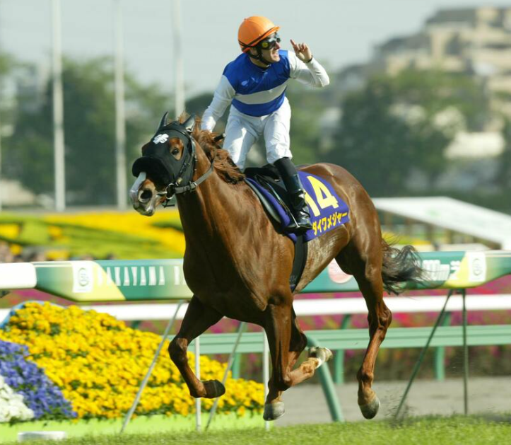 goku_uma's tweet photo. ダイワメジャーが20日、死亡しました。25歳。
GⅠを５勝だけでなく、種牡馬としてもアドマイヤマーズ、セリフォス、アスコリピチェーノなどを送り出しています。 https://t.co/oIJ58060Rk