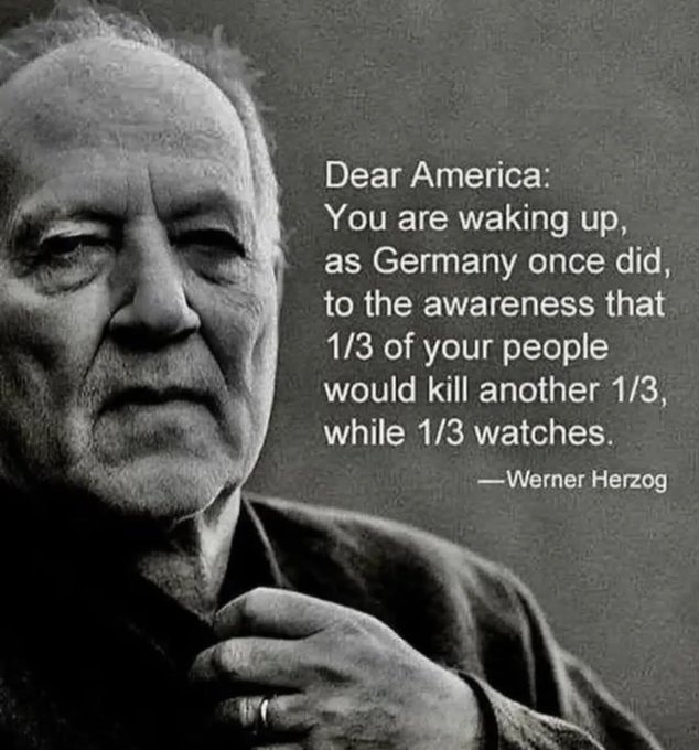 carolyn_gangi's tweet image. 