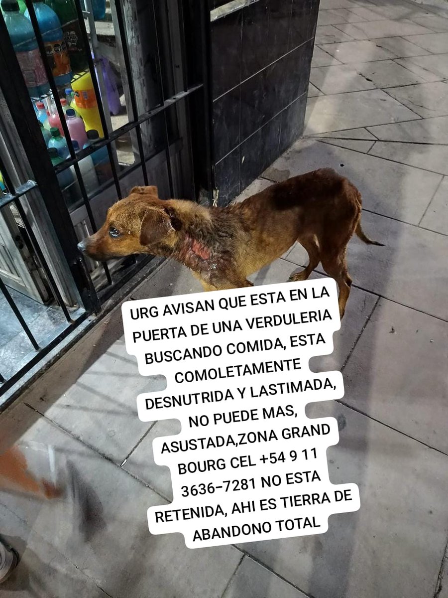 Rt
Ayuda urgente