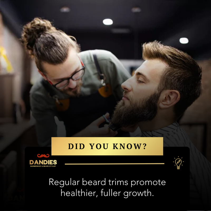 dandiesbarber's tweet photo. Regular beard trims aren't just about keeping things neat—they actually promote healthier, fuller growth! 

Ready to level up your beard game? Book your appointment 👉 https://t.co/B9j4UGB8qv

#dandiesbarber #beardtips #beardcare #beardgrooming #beardmaintenance #campbellbarber https://t.co/17BLg5thUY