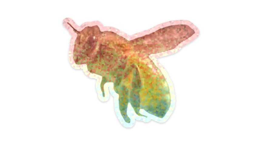 kokolay tweet media