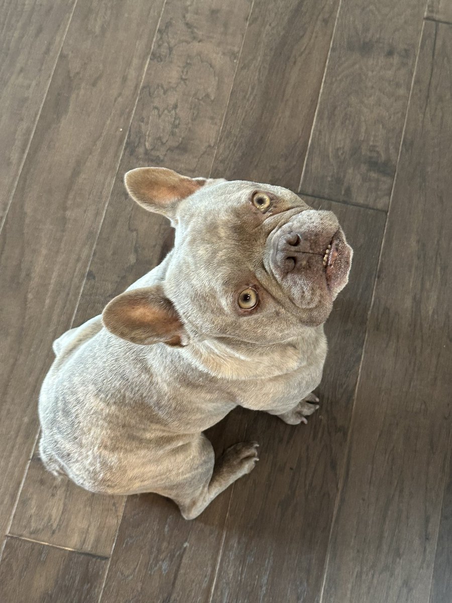 KoffeeKandi tweet media