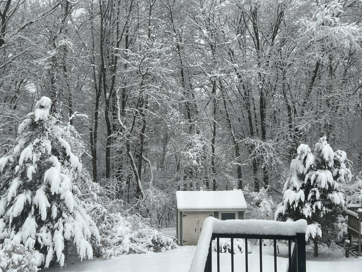 _dandera's tweet image. A winter wonderland and ideal gr corolla driving conditions after it gets to defrost in the shop