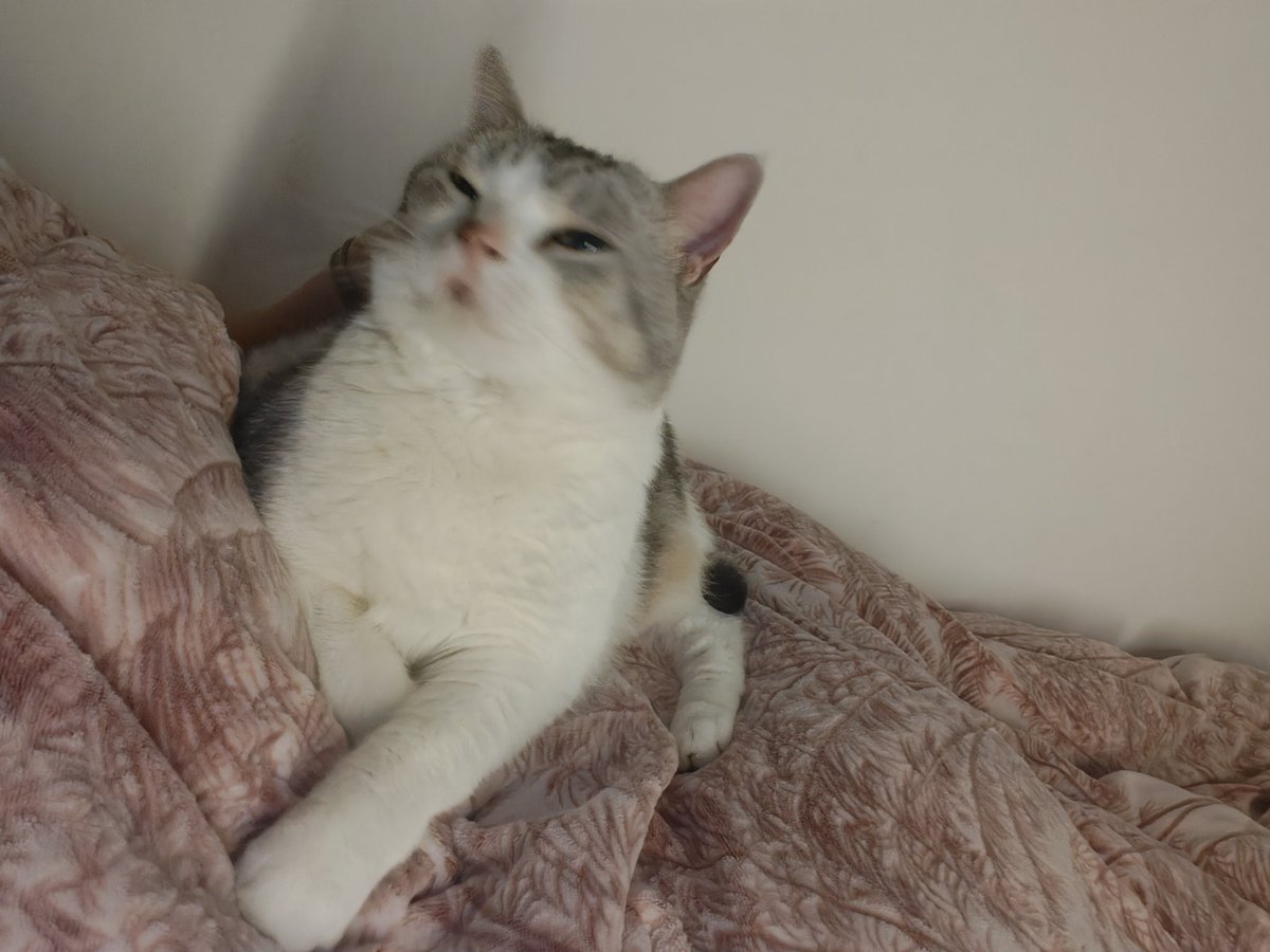 sleepy咪咪 (@dokkmk11) on Twitter photo 