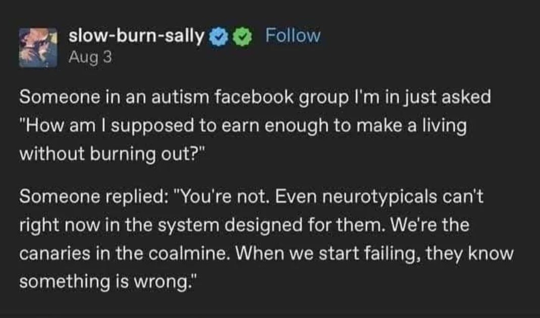 No Nonsense Neurodivergent tweet media