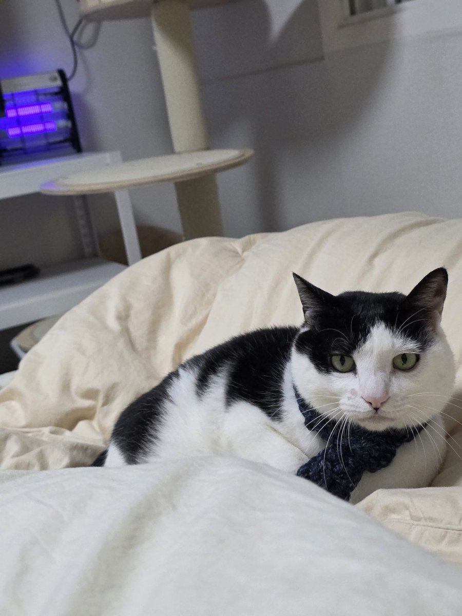 매장 설비점검으로 구움과자는 오픈 시간 이후 순차적으로 채워질 예정입니다:) 
소금빵은 하루 쉬어갑니다! 내일 신메뉴와 함께 돌아오겠습니다♡
날씨가 정말 어마무시하게 추운데 다들 짱두꺼운 외투 입으시고, 목도리도 꼭꼭 하시고, 감기 조심하세요!!! 항상 감사합니다!!!