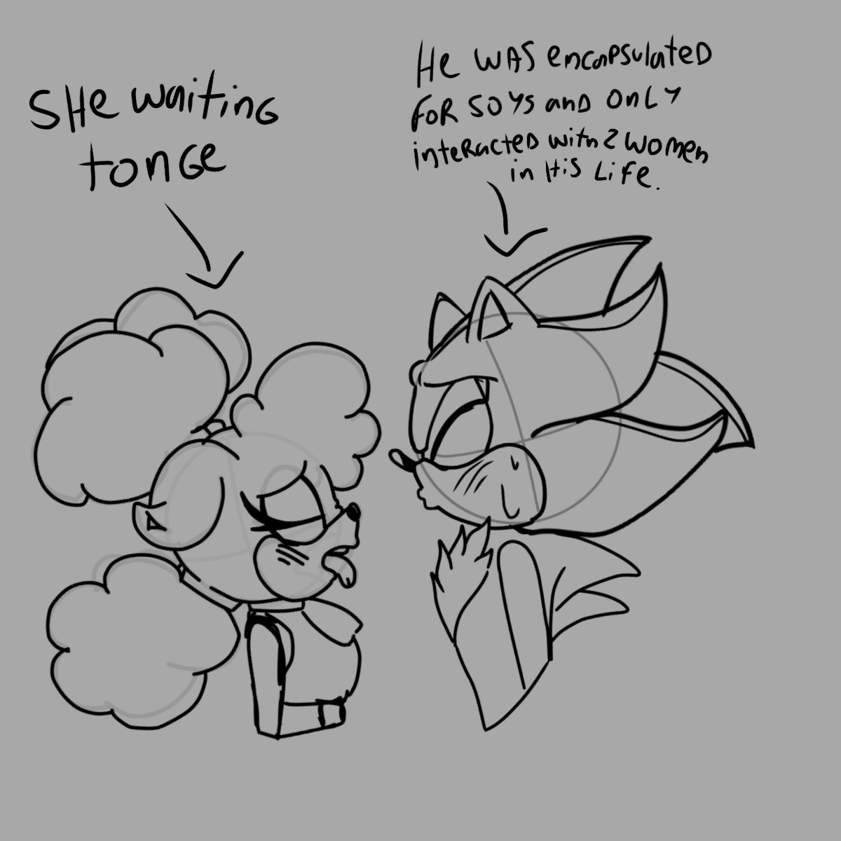 🐑🤍Daily Shadolin🖤🦔 tweet media