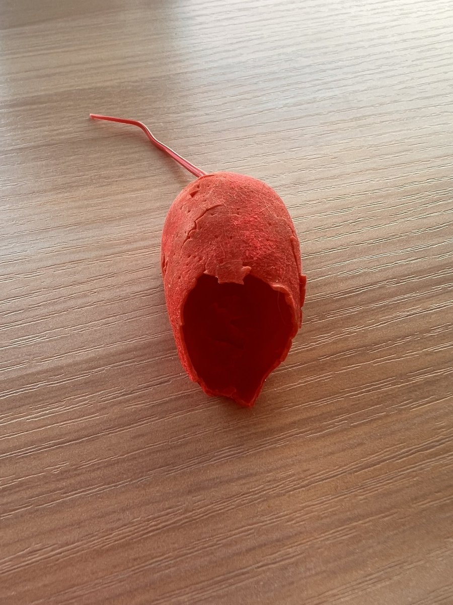 blabbit000's tweet image. My cat is a murderer! 😂🫣