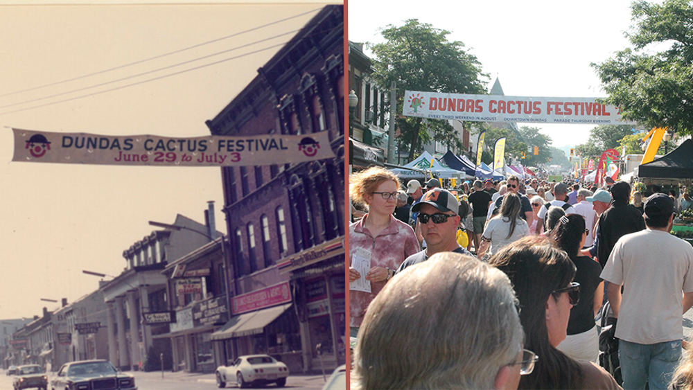 Cactus Festival tweet media