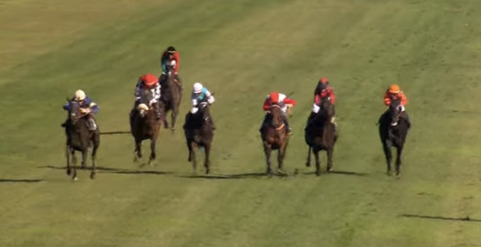 A Galopar tweet media