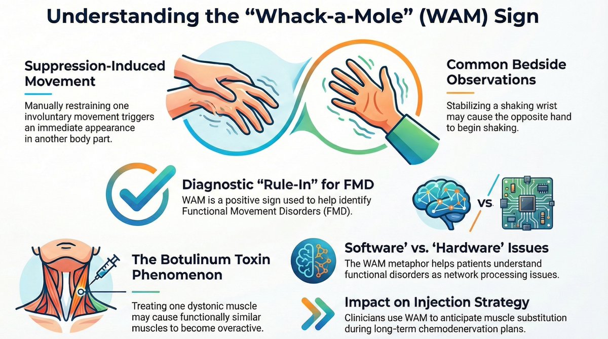 SikandarAdwani's tweet image. You stop one involuntary movement… and another one instantly appears somewhere else.

That’s not coincidence. 

That’s a sign.

Meet the Whack-a-Mole sign.

#Neurotwitter #FND #Medtwitter