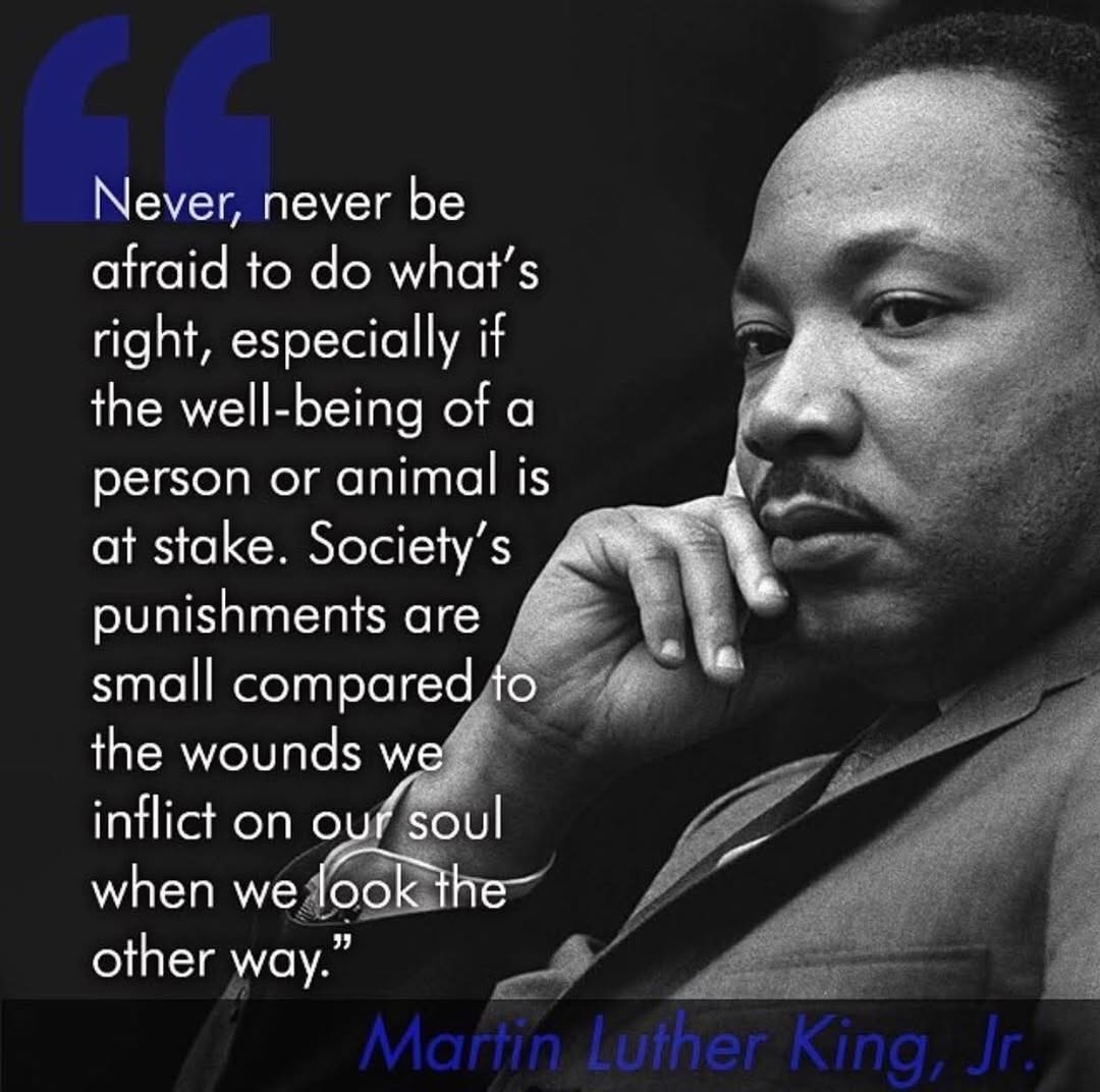 How2FixWorld's tweet image. Never be afraid to do what's right!