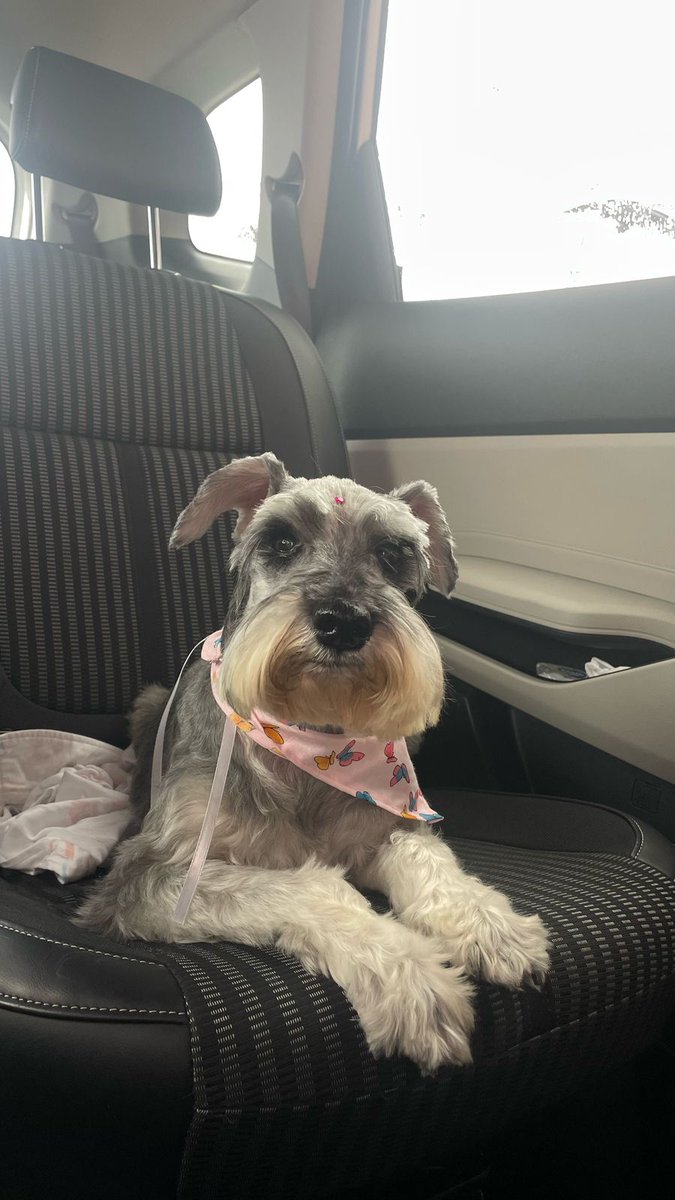 Sylvia Armanza 8a tweet media