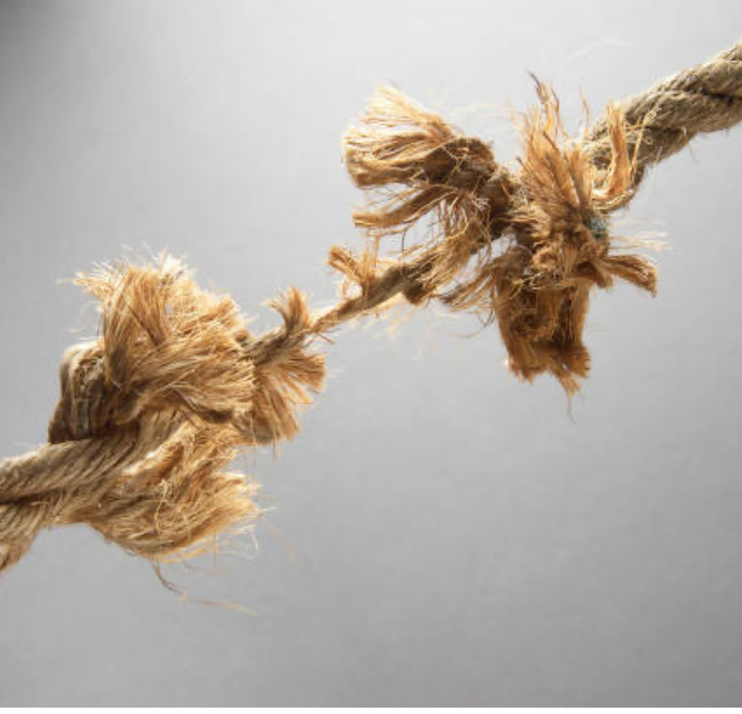 NetsProphet's tweet image. New York Knicks season status: this rope 🧵 fraying fast. 

Facing the Nets next…

Nets win and Knicks fans might actually go crazy.
#NetsWorld #NewYorkForever  #NBA