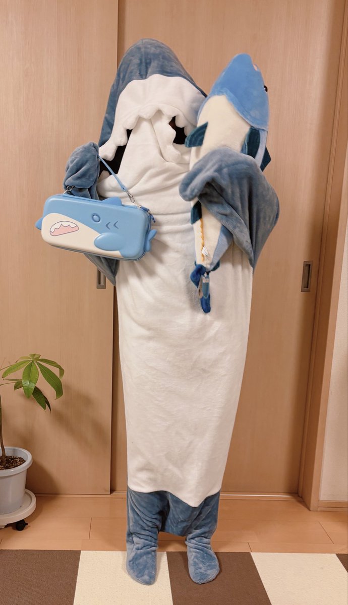 うっきうきのサメ🦈