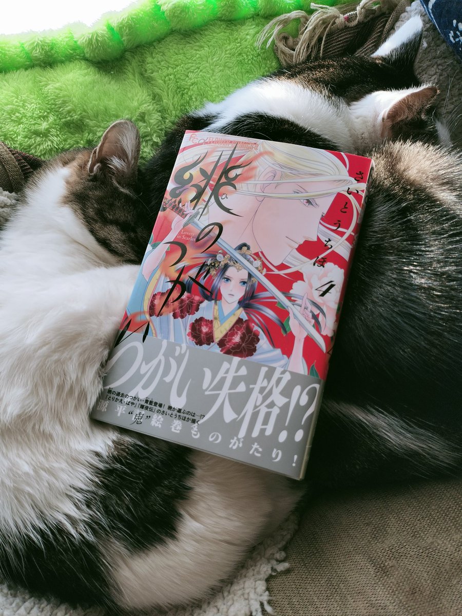 さいとう ちほ Chiho Saito (@chihochat) / Posts / X