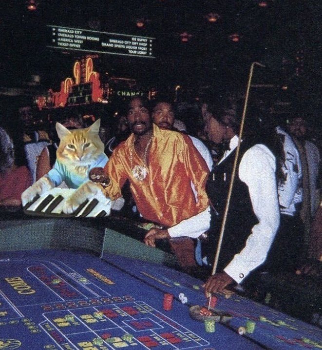 KeyboardCatBase's tweet image. all in on baseposting.