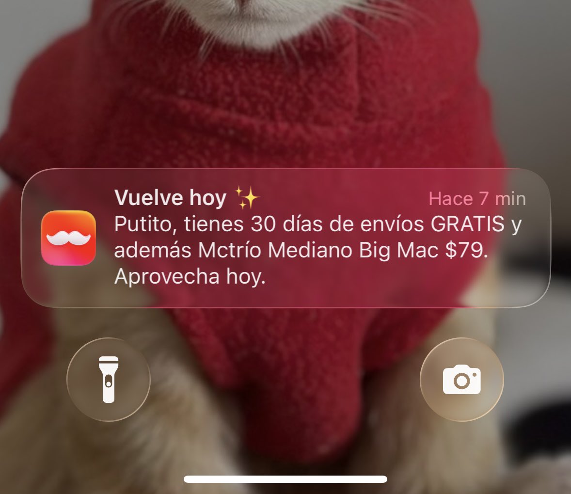 ¿Los de Rappi me saben algo o así les hablan a todos?
