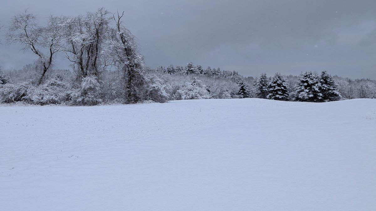 Ageisjustanumber tweet media