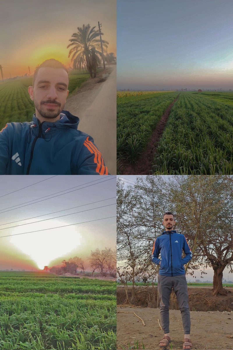 Osos_7mada's tweet photo. https://t.co/1hGttEbYVI