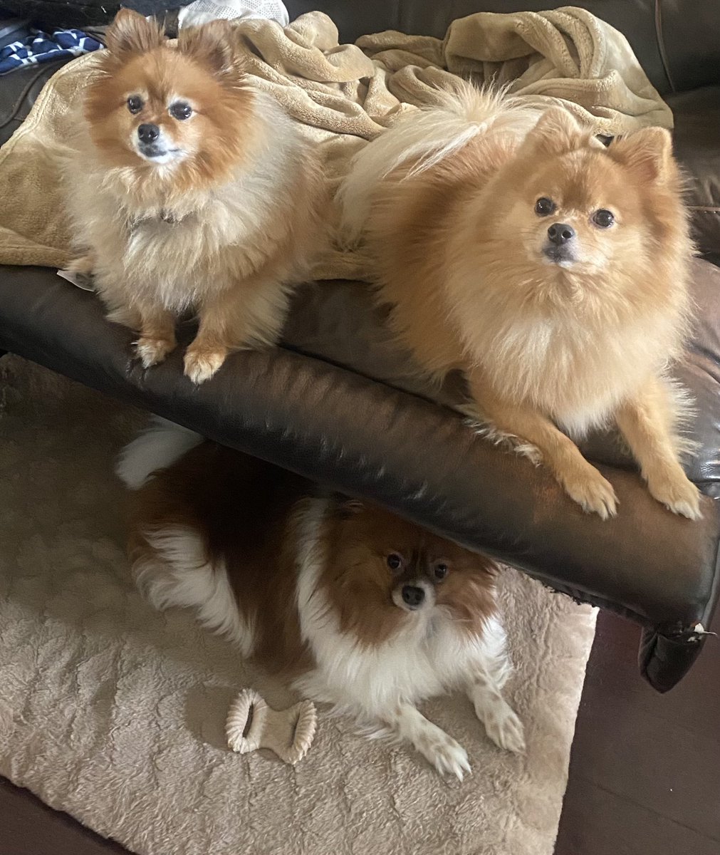 the loves of my life