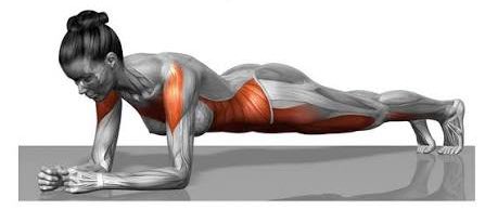 sinwaifai's tweet image. me alegra mucho que Ivan Cepeda tenga tantas posibilidades de ser presidente y la izquierda pueda ganar las elecciones ahora solo tenemos que esperar a que la izquierda no destruya su propia oportunidad definitivamente se vienen unos meses así: