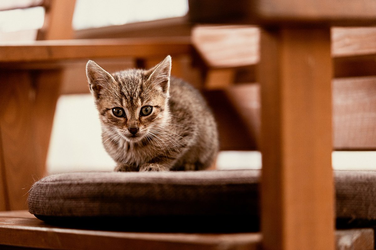 RealityDesignz's tweet image. Hospitals often have outpatient departments where patients receive treatments without staying overnight 🏥💉