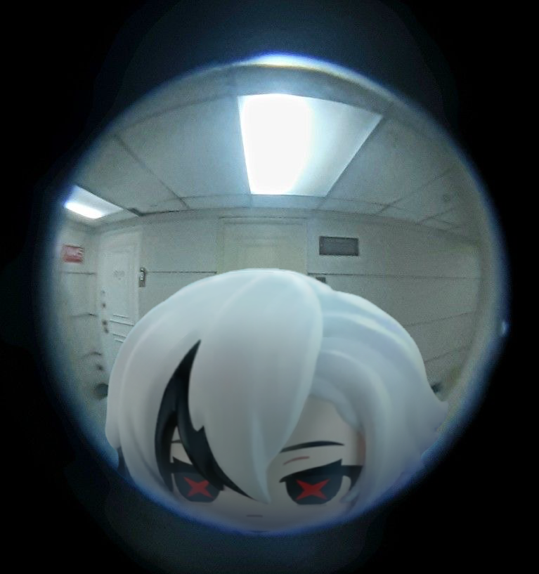 DailyMiniFatui's tweet image. I am NOT opening the door bro