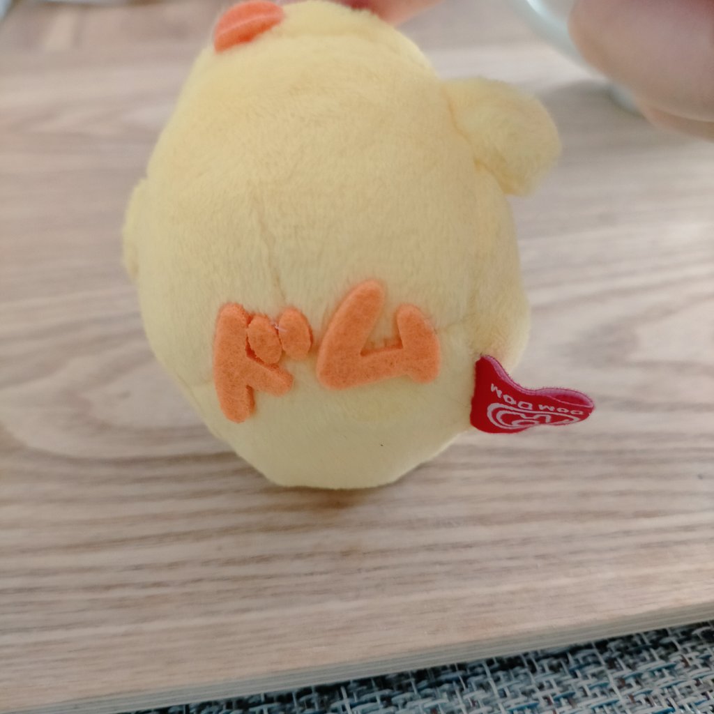 そうだよ🐥
