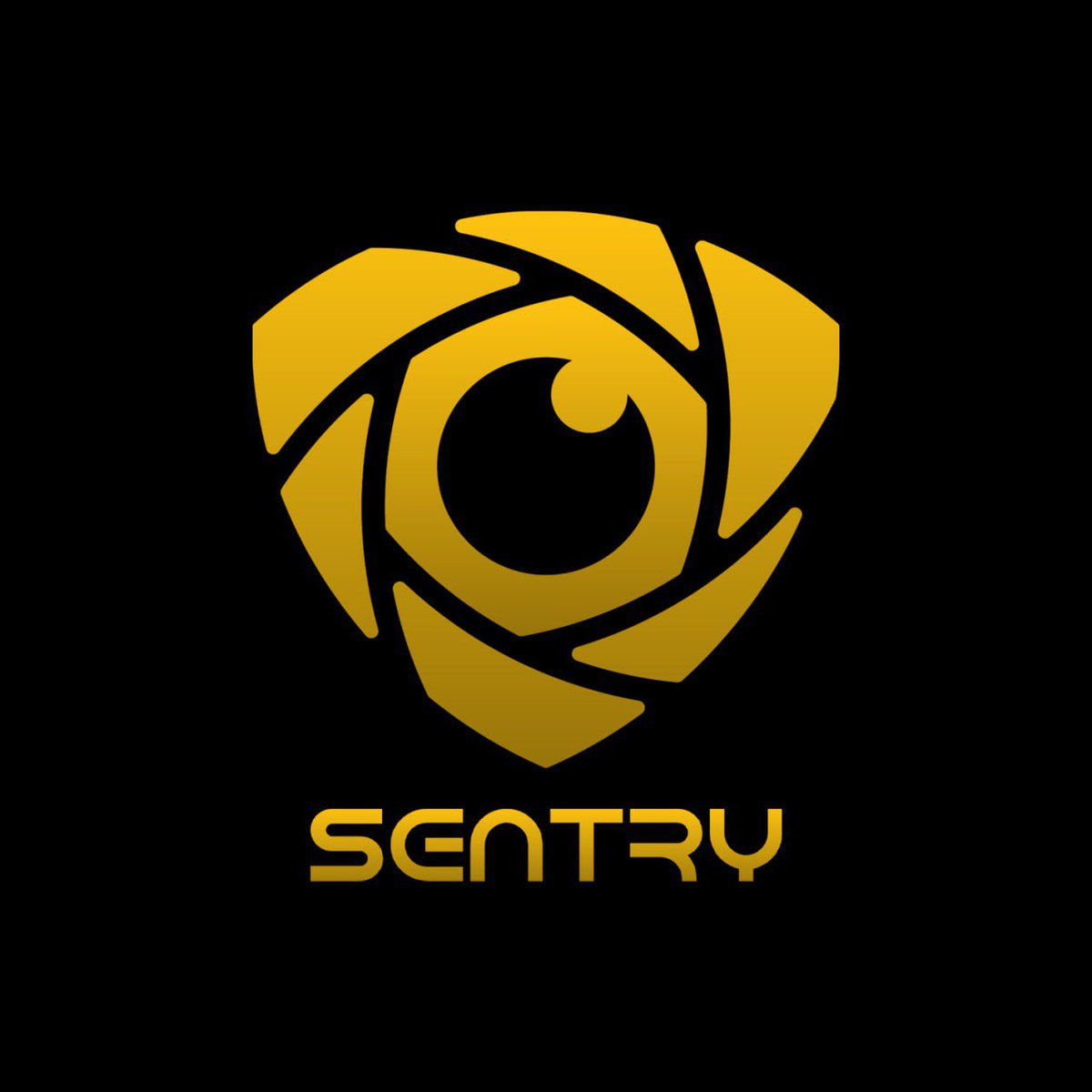 redemptionarcc's tweet image. $SENTRY rebrand looking 🔥🔥🔥