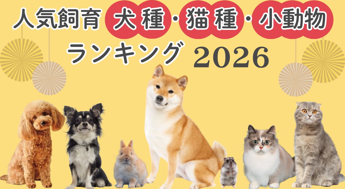 ニュースリリース】 アイペット損保は「2026年版『人気飼育犬種・猫種・小動物ランキング』発表！」をリリースしました。30代以降で柴犬がトップ5入り、世代で異なる結果に。小動物1位はハムスター！珍しい犬種と猫種も調査  🔗https://t.co/dUHhImEPTb